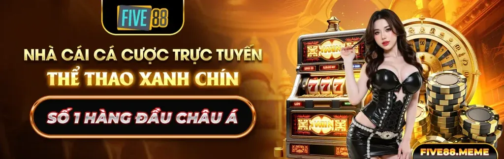 Hình ảnh đại diện chính sách Cookie của 007wjn